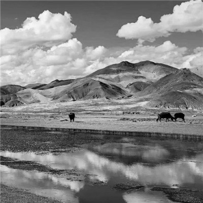 微信黑白山水风景头像