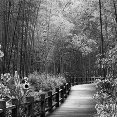 微信黑白山水风景头像