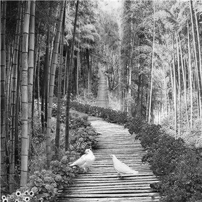 微信黑白山水风景头像