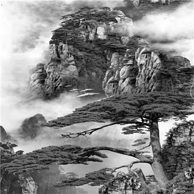 微信黑白山水风景头像