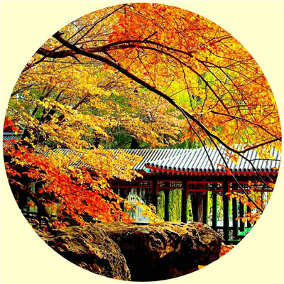 2025年最好旺财山水风景图片头像