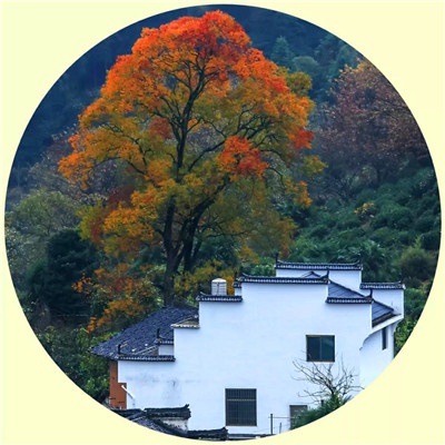 2025年最好旺财山水风景图片头像