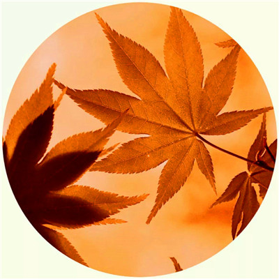 2025年最好旺财山水风景图片头像