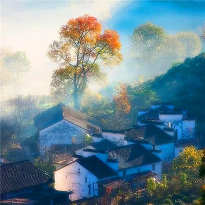 最好看的风景头像