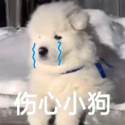 可爱且好看的头像图片