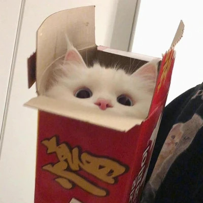 头像 个性 简约 可爱