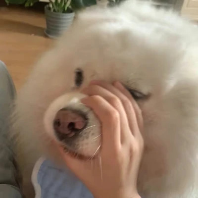 漂亮照片头像 可爱