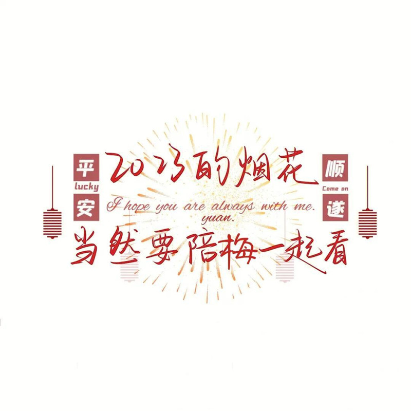 迎接2025年头像