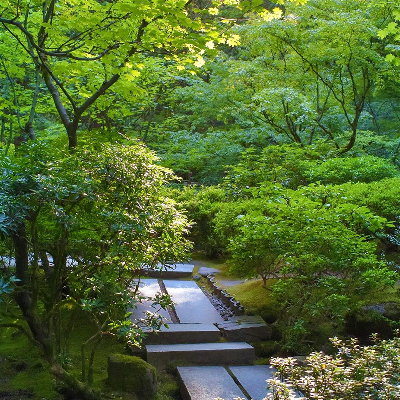 微信头像大自然风景高清