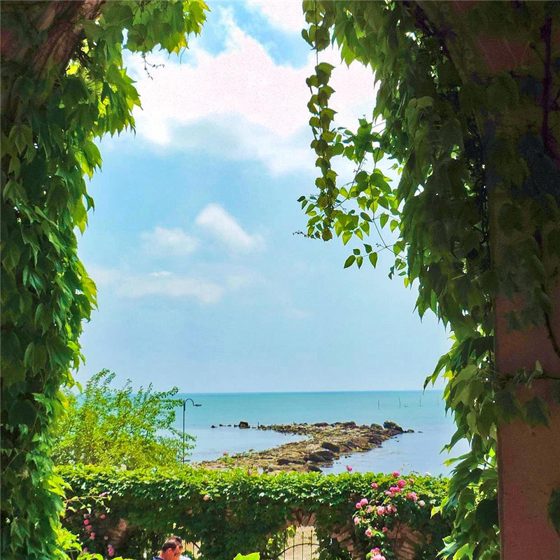 微信头像大自然风景高清