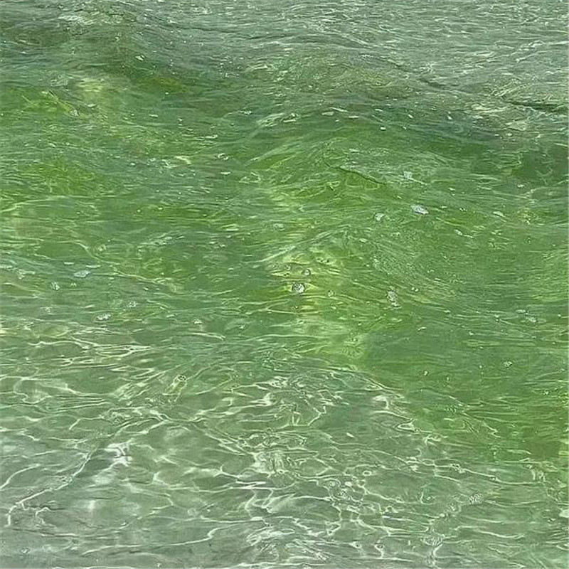 背景图片干净治愈系绿色壁纸头像