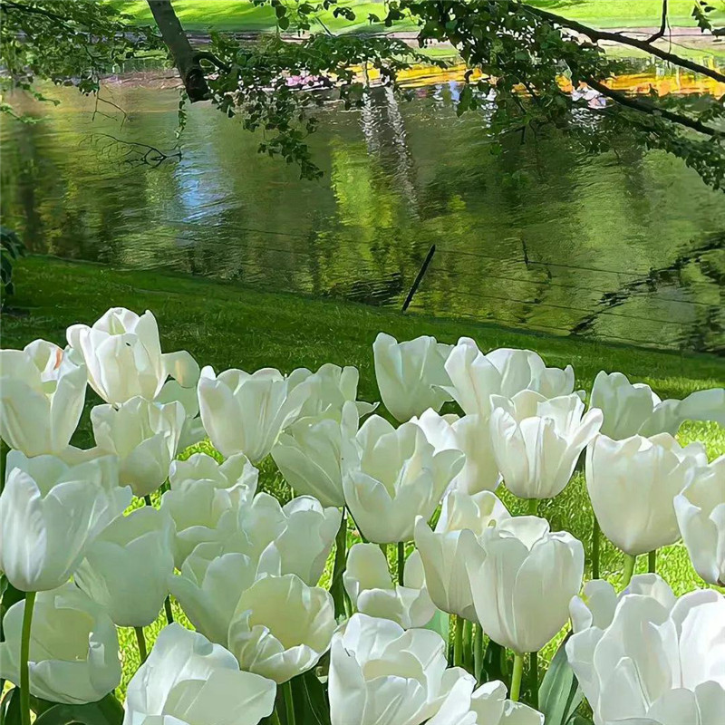 背景图片干净治愈系绿色壁纸头像