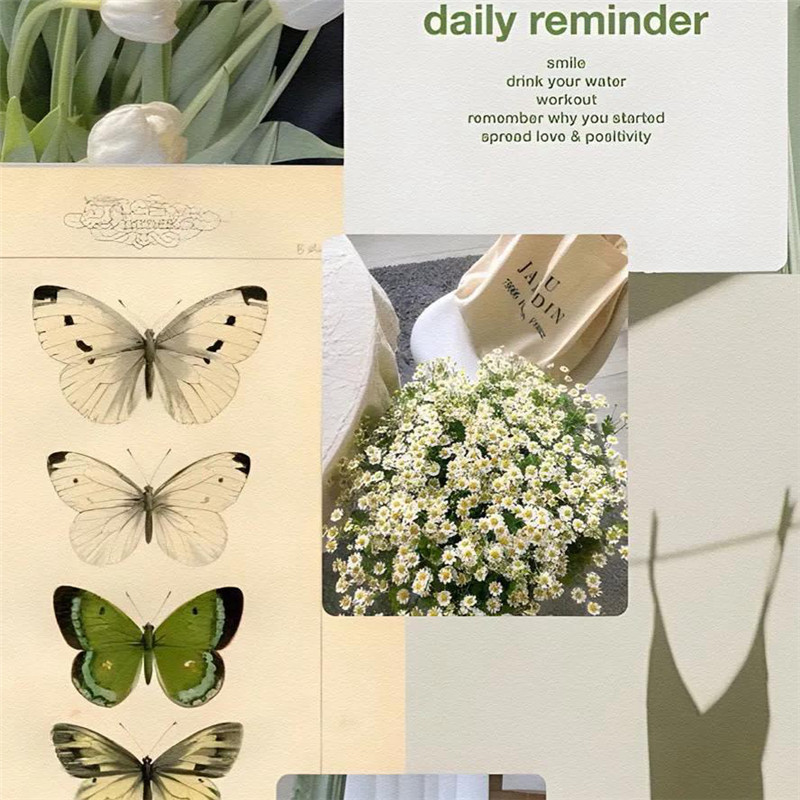 背景图片干净治愈系绿色壁纸头像