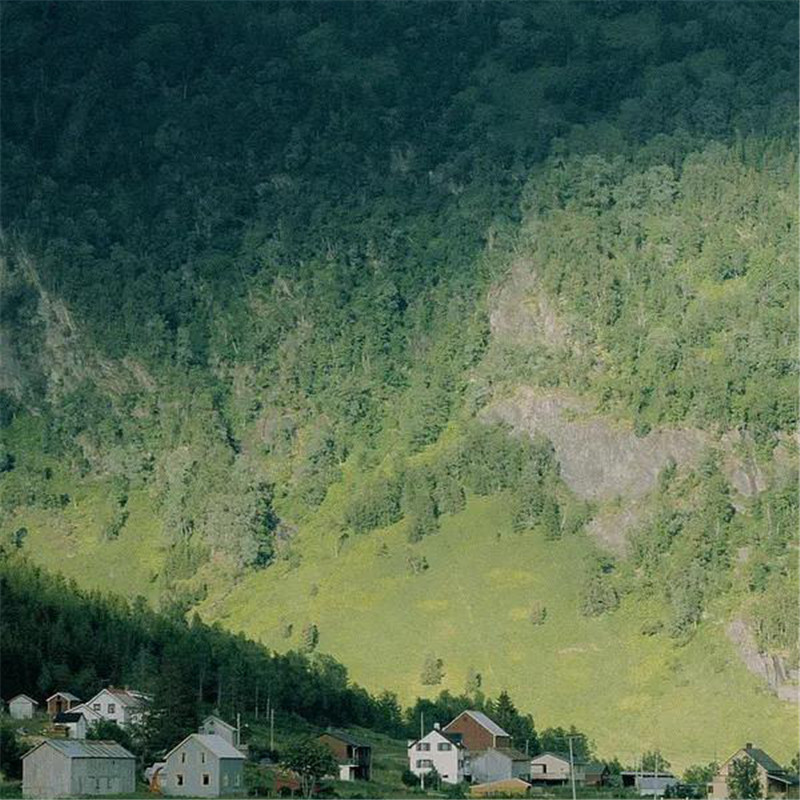 背景图片干净治愈系绿色壁纸头像