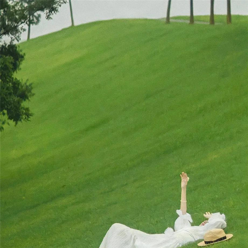 背景图片干净治愈系绿色壁纸头像