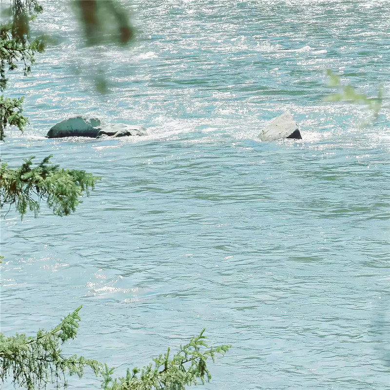 背景图片干净治愈系绿色壁纸头像