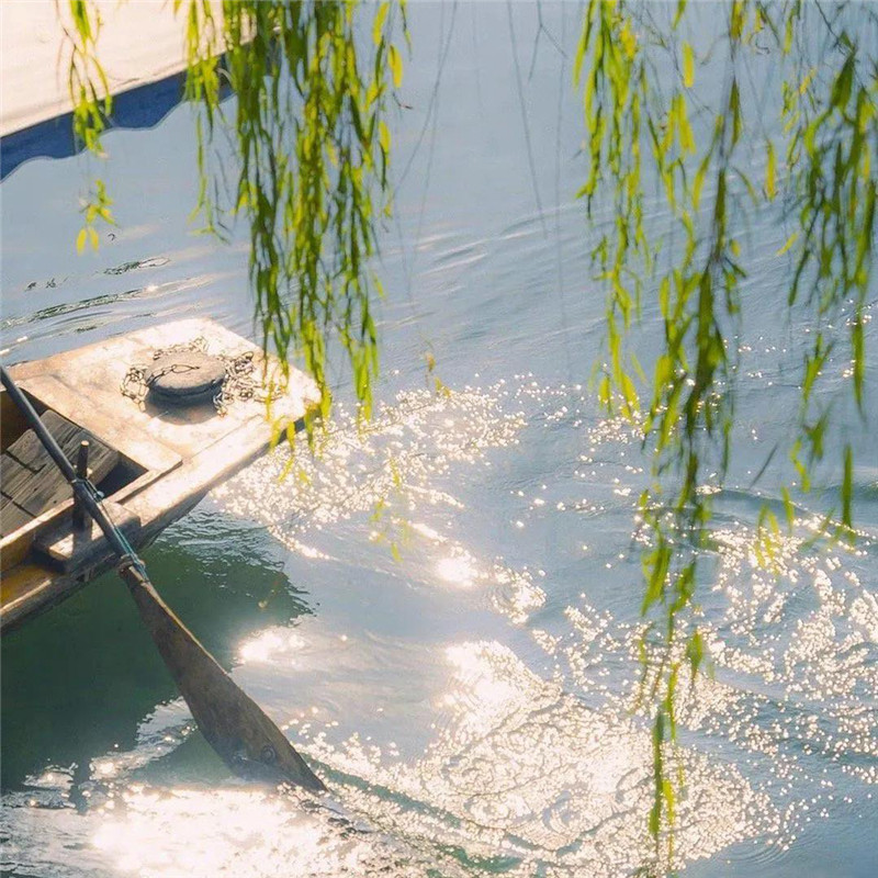 背景图片干净治愈系绿色壁纸头像