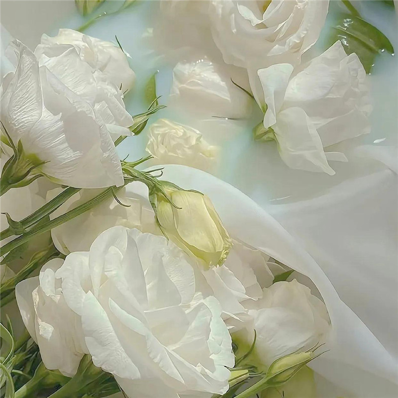 背景图片干净治愈系绿色壁纸头像