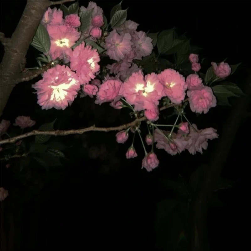 高级质感复古风背景图片头像