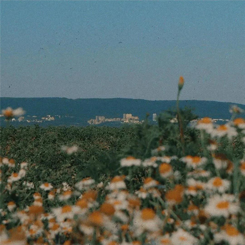 高级质感复古风背景图片头像