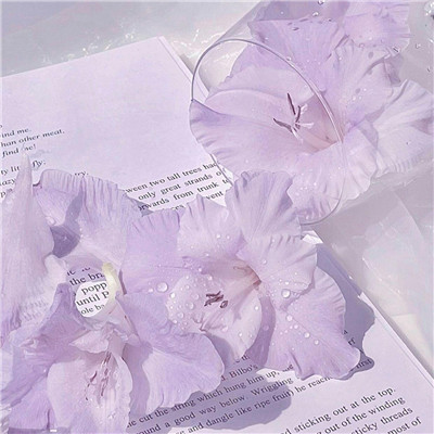 紫色浪漫风背景头像图片