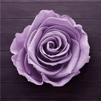 紫色浪漫风背景头像图片