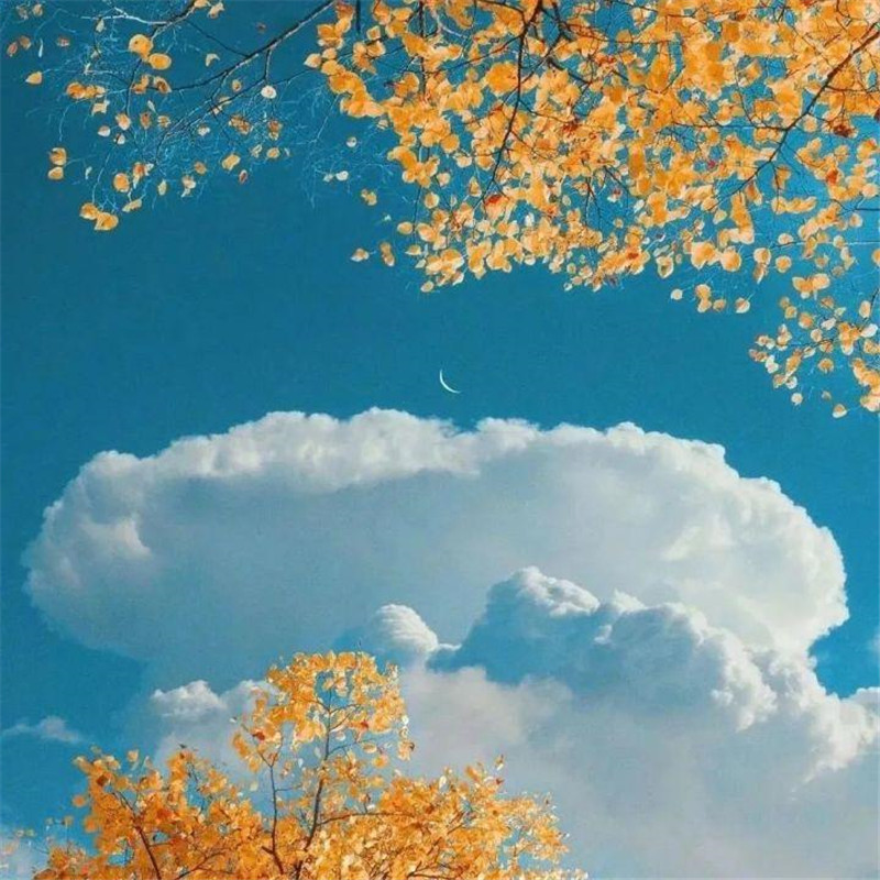 朋友圈头像 + 背景图一套