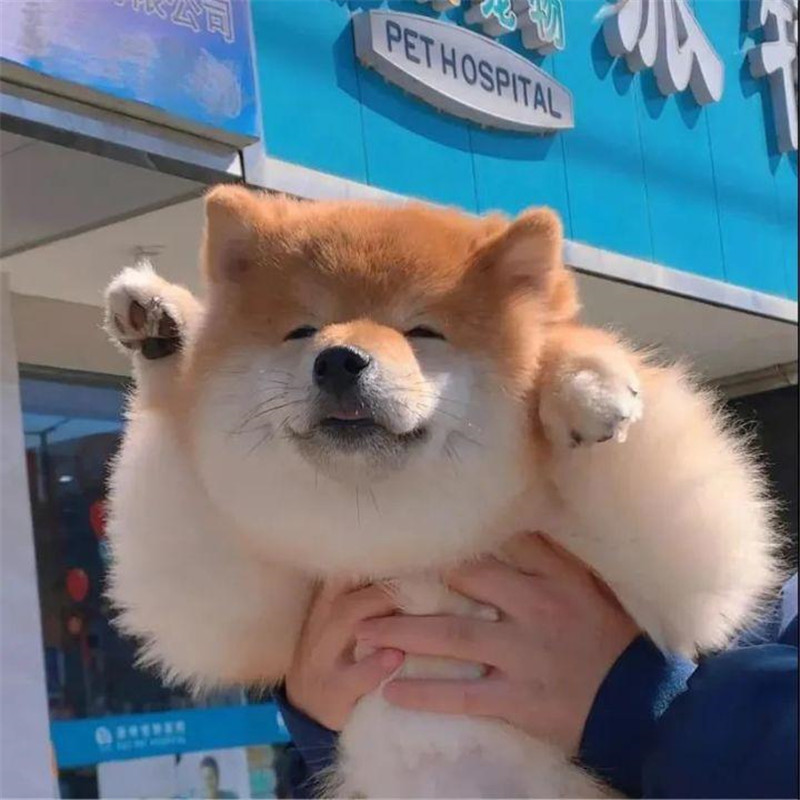 朋友圈头像 + 背景图一套