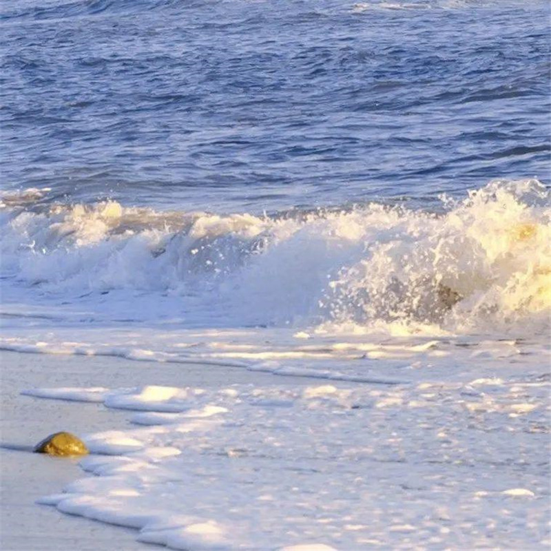 朋友圈头像 + 背景图一套