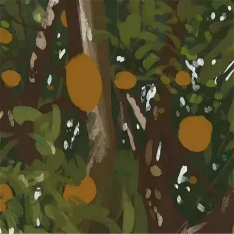 朋友圈头像 + 背景图一套