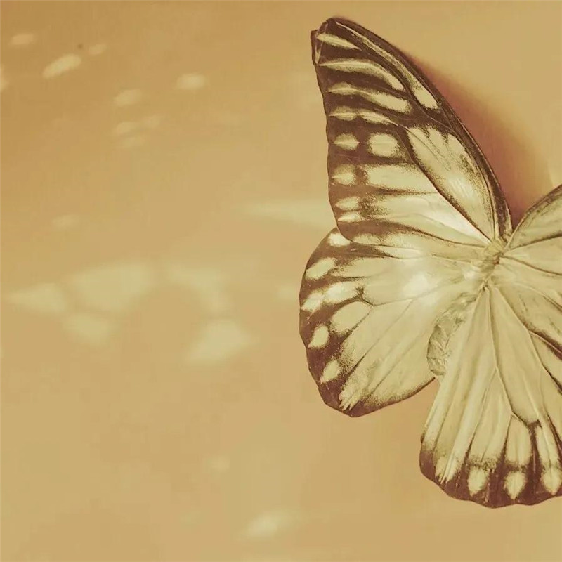 朋友圈头像 + 背景图一套