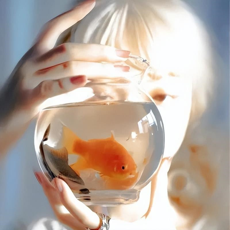 朋友圈头像 + 背景图一套