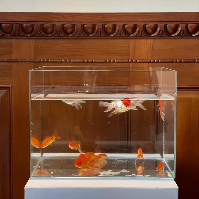 朋友圈头像 + 背景图一套