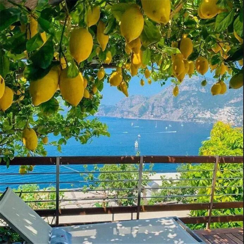 朋友圈头像 + 背景图一套