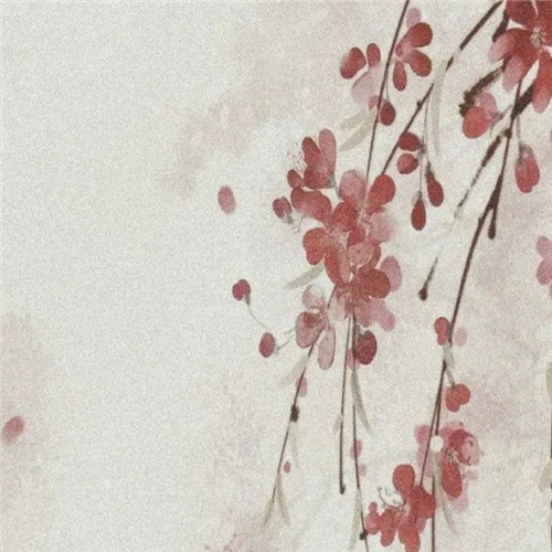 微信头像和背景图一套