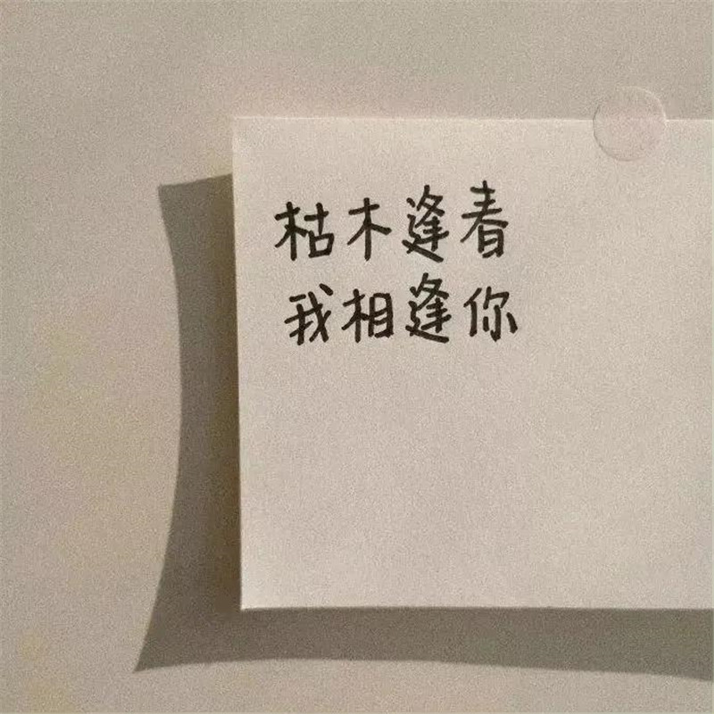 独一无二朋友圈背景图片头像