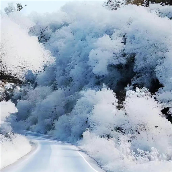 微信雪景头像风景唯美