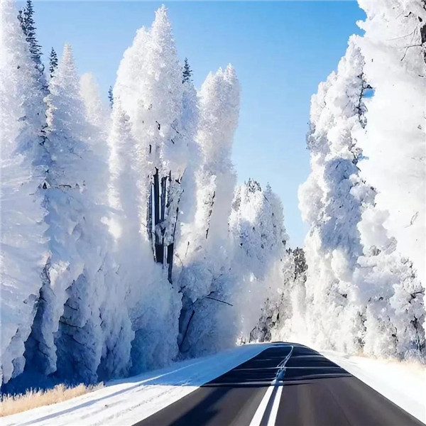 微信雪景头像风景唯美
