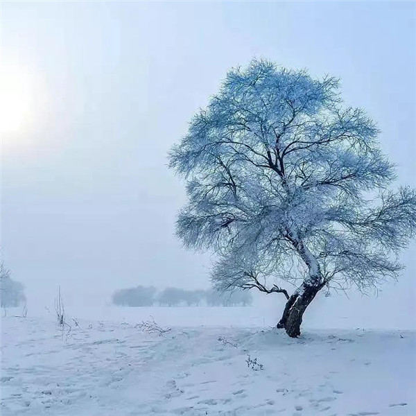 微信雪景头像风景唯美