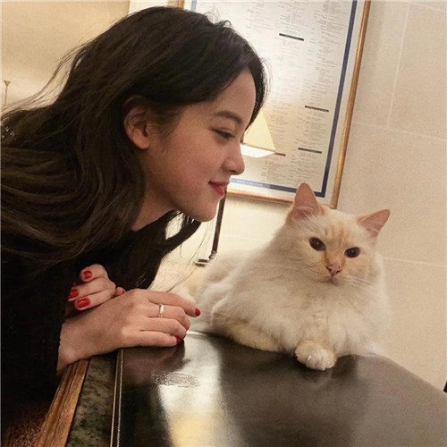女明星欧阳娜娜头像图片