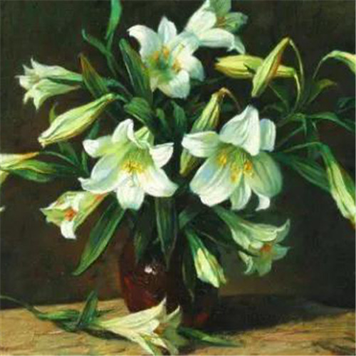 百合花头像图片