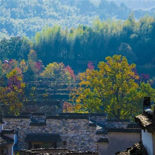 秋天唯美头像图片