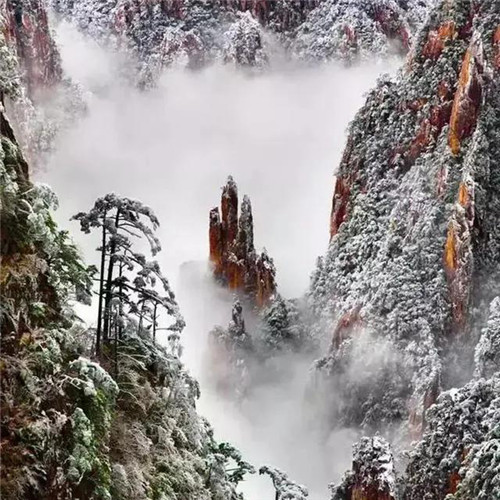 银装素裹黄山雪景风景头像图片