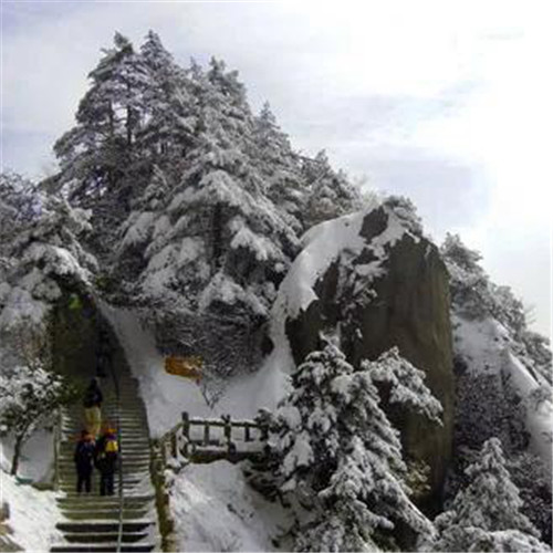 银装素裹黄山雪景风景头像图片
