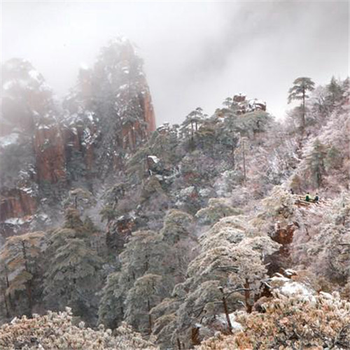 银装素裹黄山雪景风景头像图片