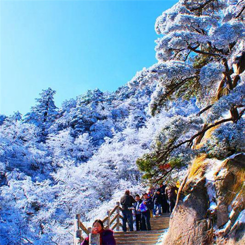 银装素裹黄山雪景风景头像图片
