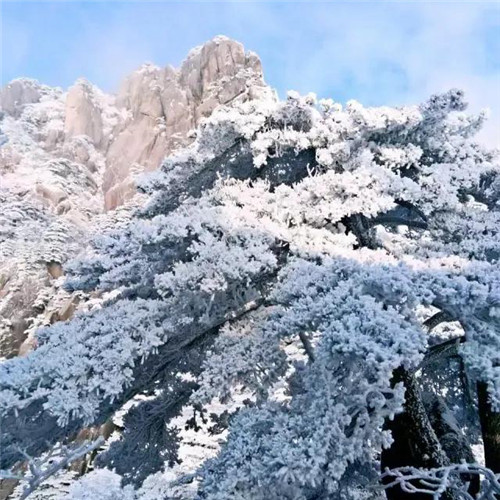 银装素裹黄山雪景风景头像图片