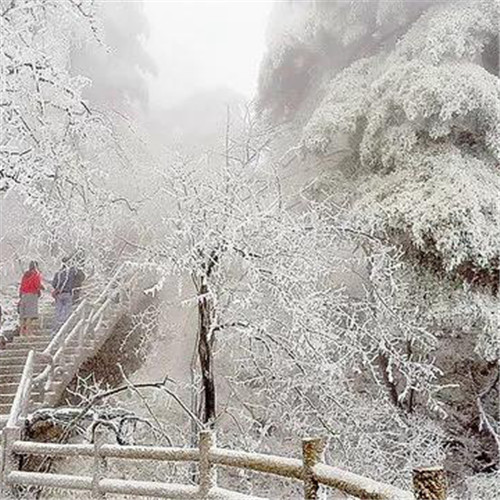 银装素裹黄山雪景风景头像图片