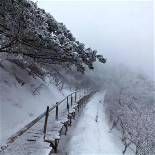 银装素裹黄山雪景风景头像图片