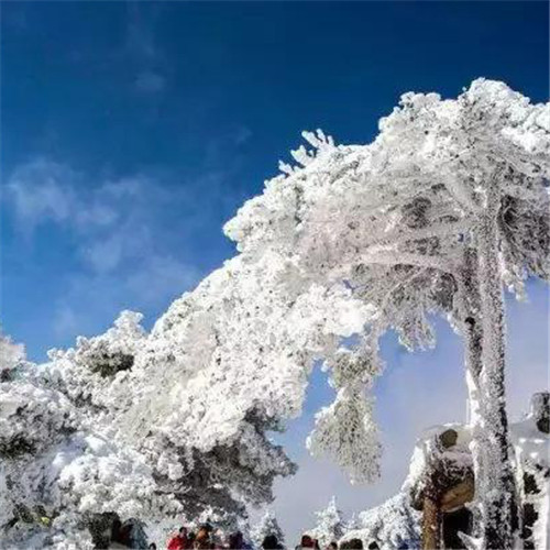 银装素裹黄山雪景风景头像图片